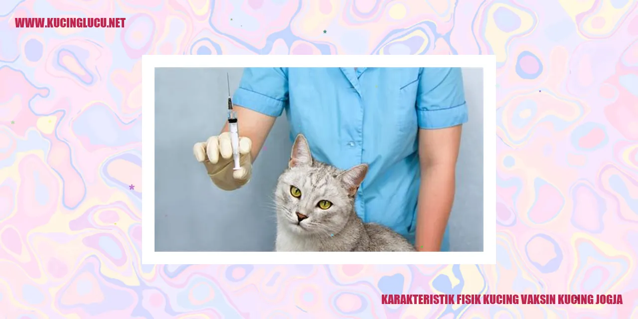 Karakteristik Fisik Kucing vaksin kucing jogja