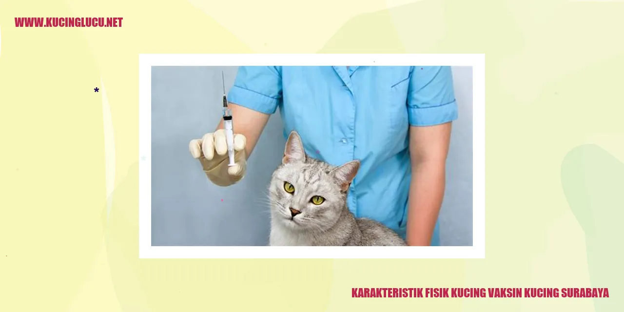 Karakteristik Fisik Kucing vaksin kucing surabaya