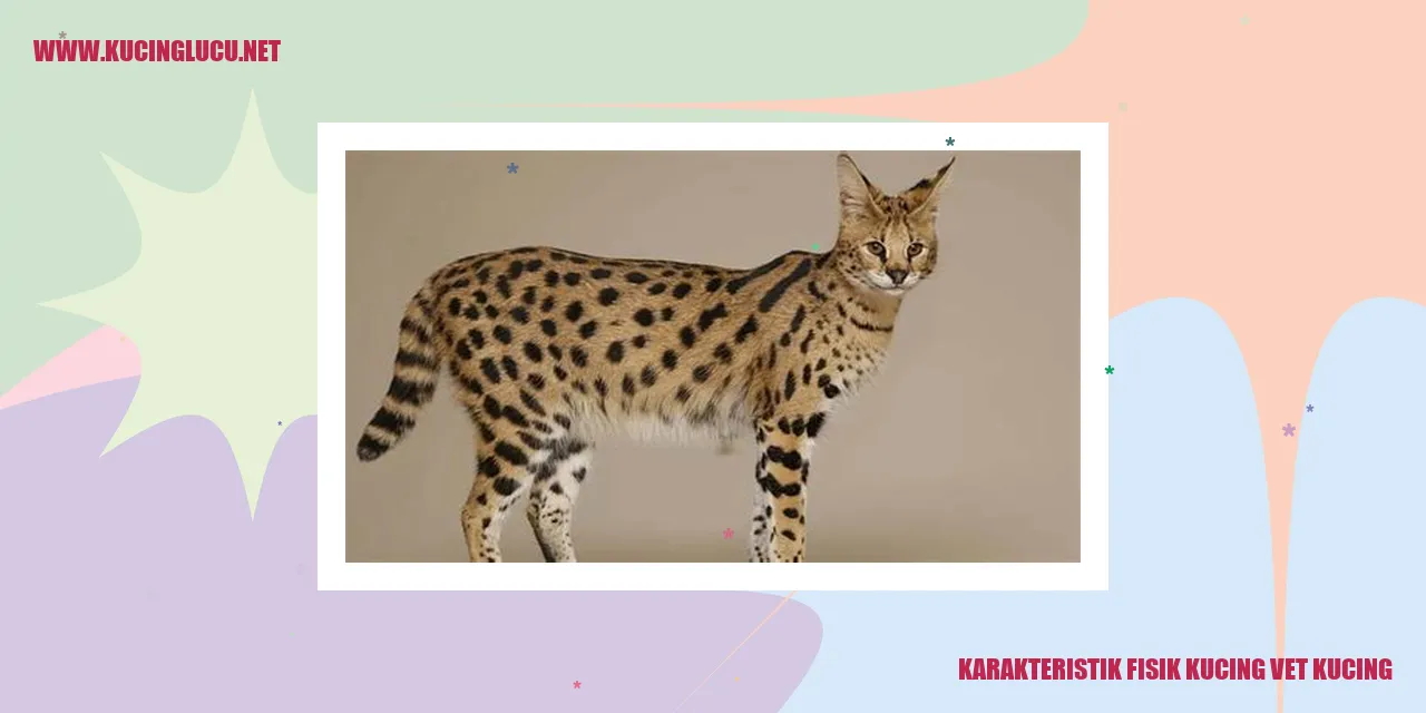 Karakteristik Fisik Kucing