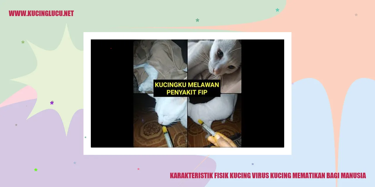 Karakteristik Fisik Kucing virus kucing mematikan bagi manusia