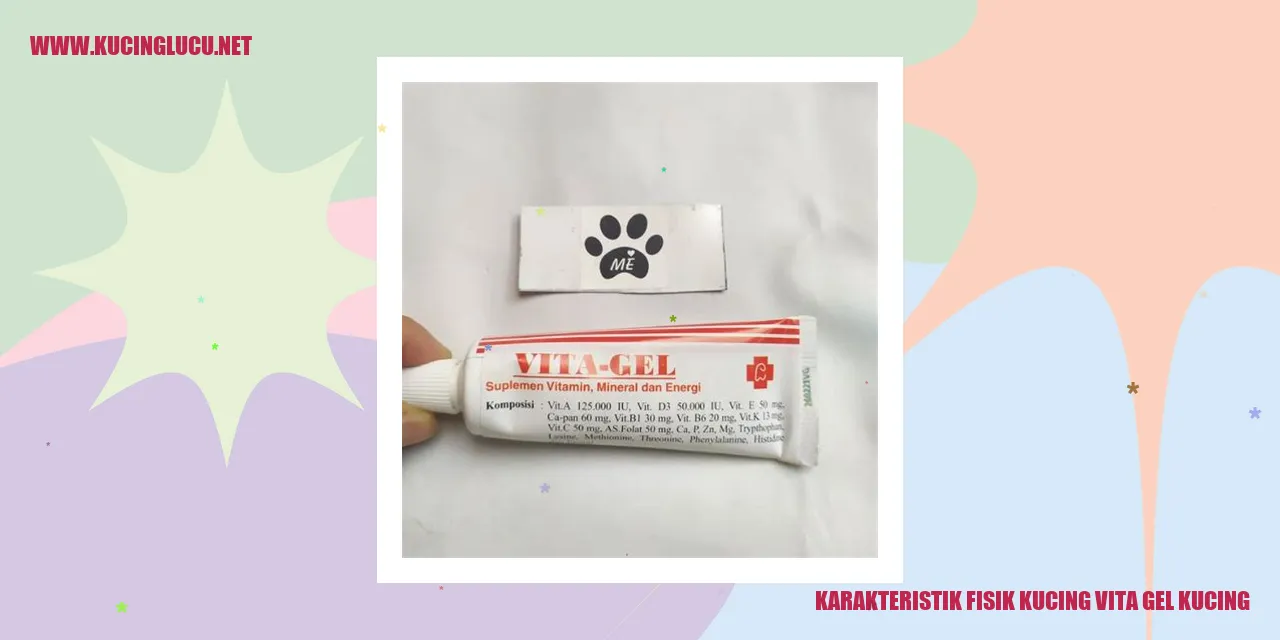 Karakteristik Fisik Kucing Vita Gel Kucing