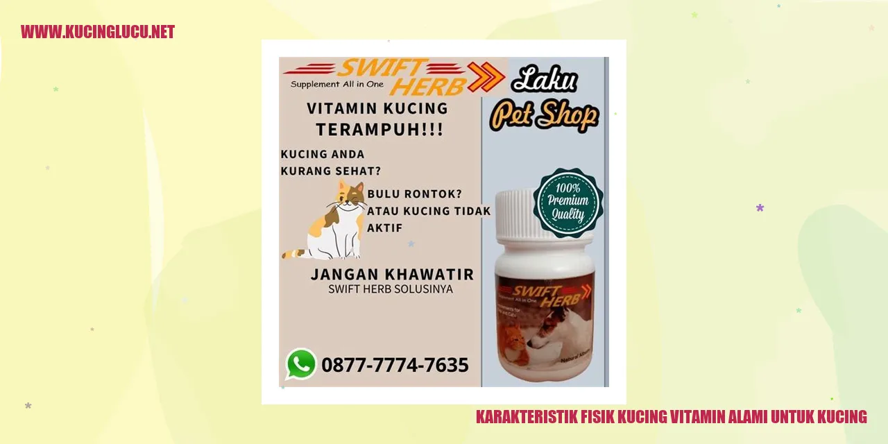 gambar Kucing