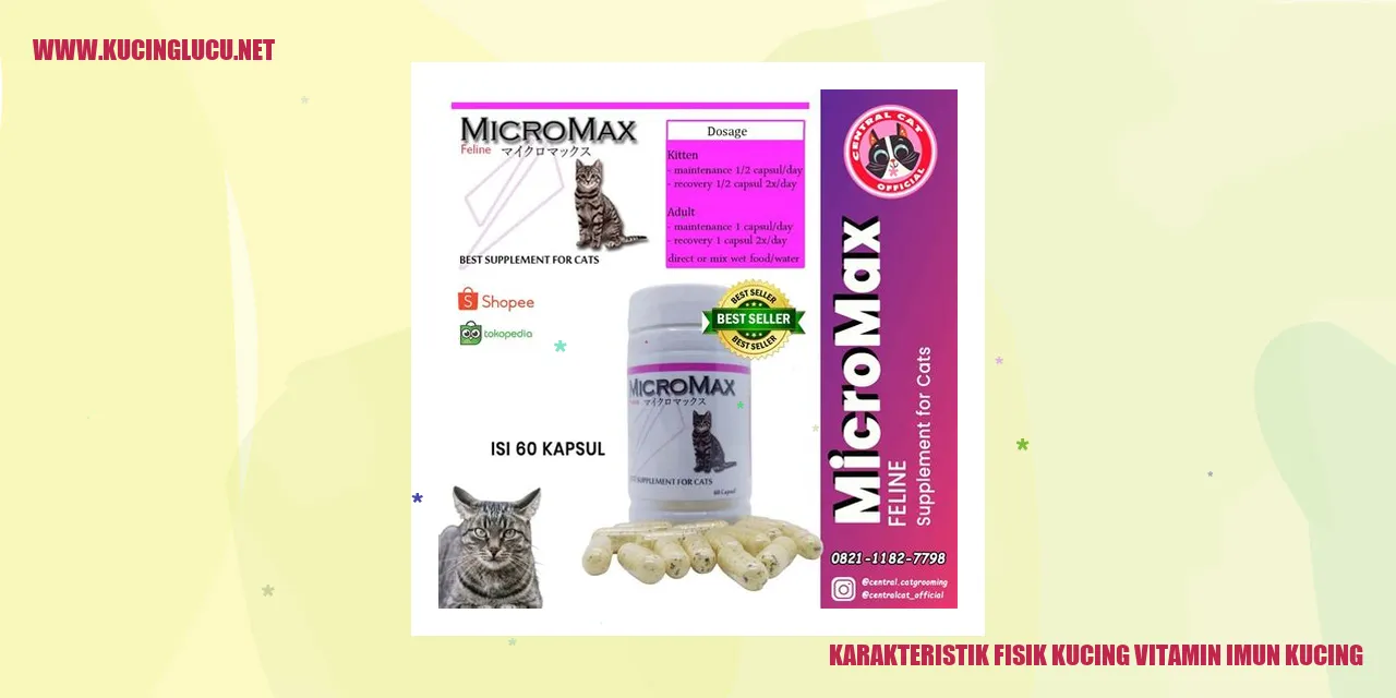 Kucing Menggemaskan
