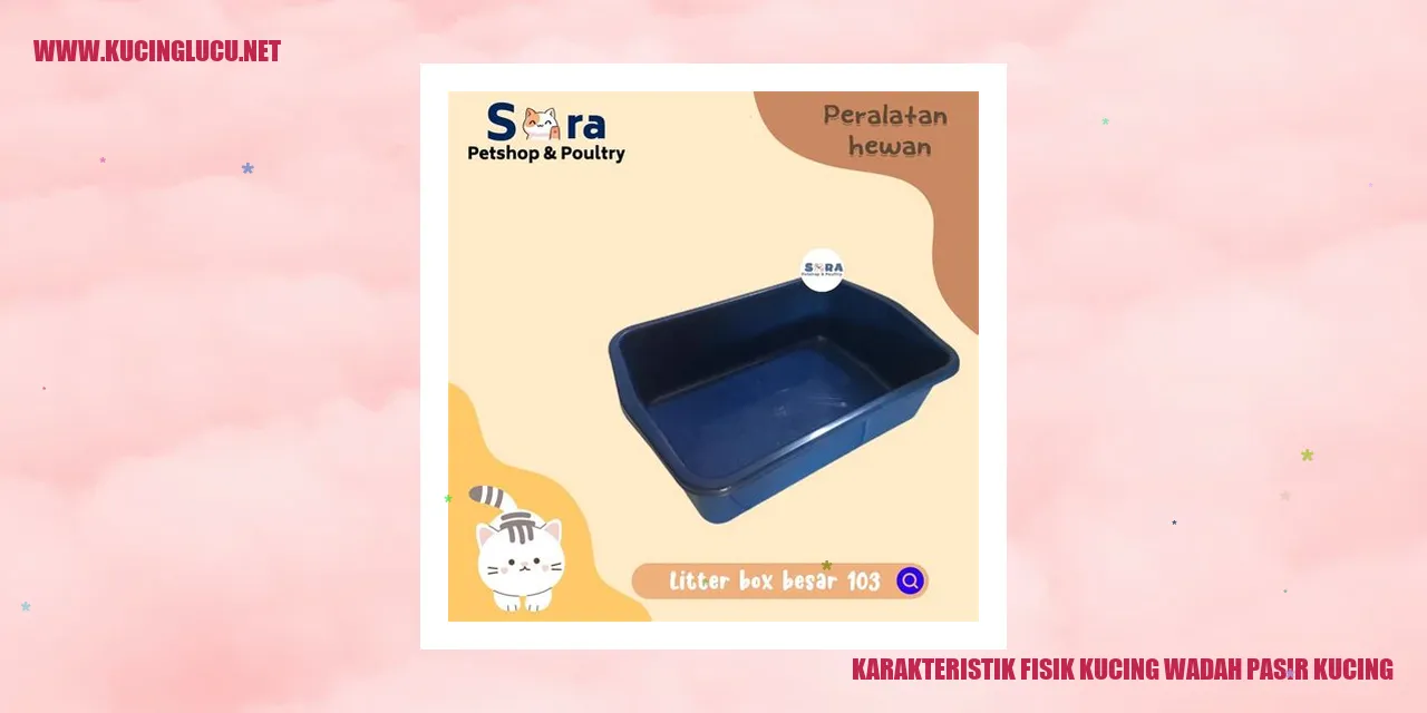 Karakteristik Fisik Kucing wadah pasir kucing