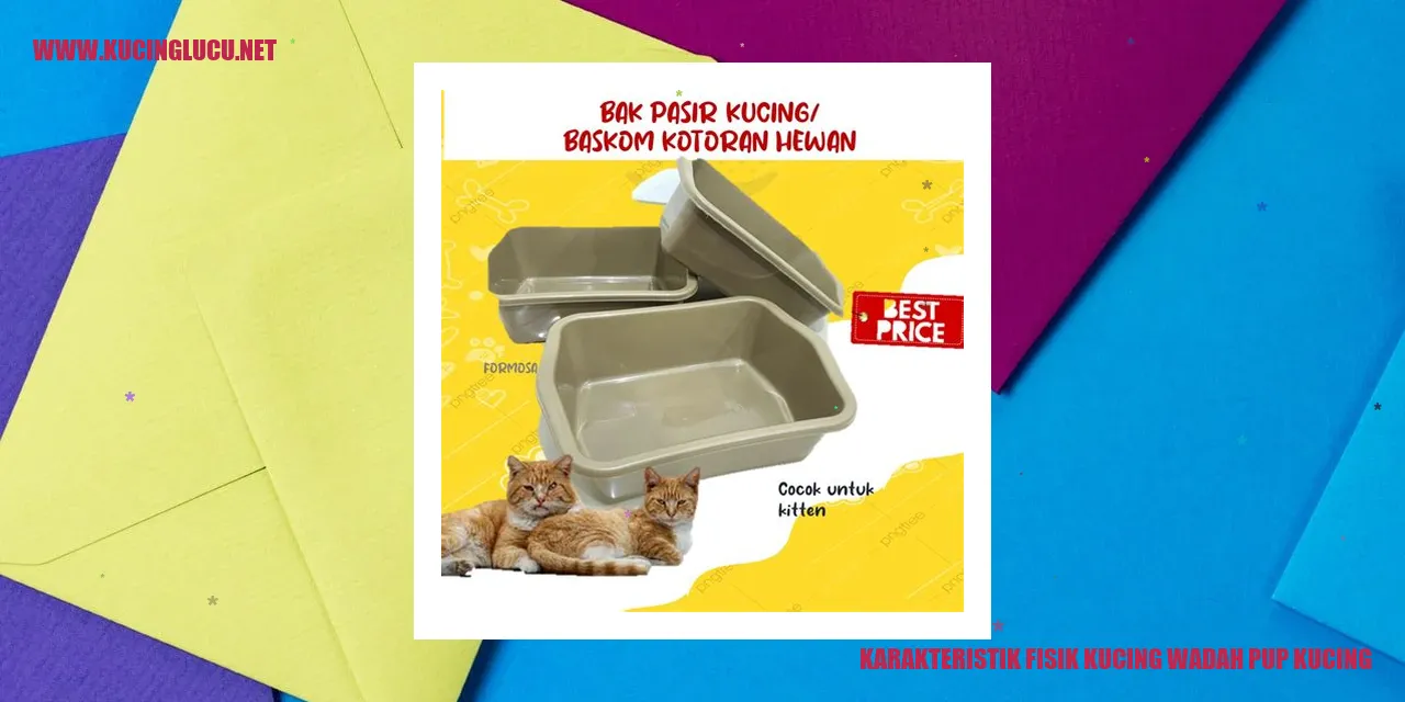Karakteristik Fisik Kucing wadah pup kucing