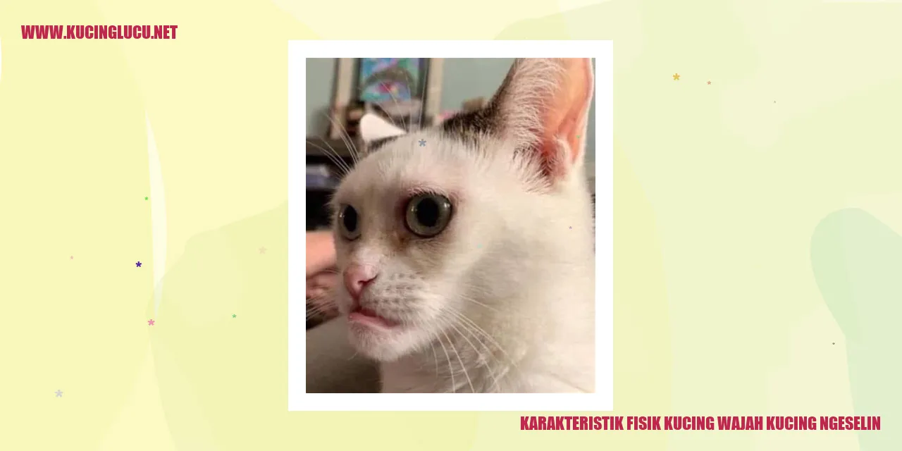 Karakteristik Fisik Kucing: Tatapan Wajah Kucing yang Mengganggu