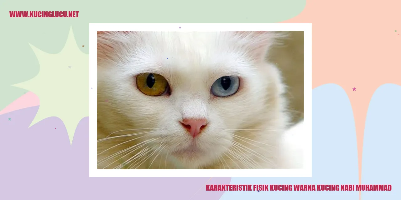 Karakteristik Fisik Kucing Nabi Muhammad