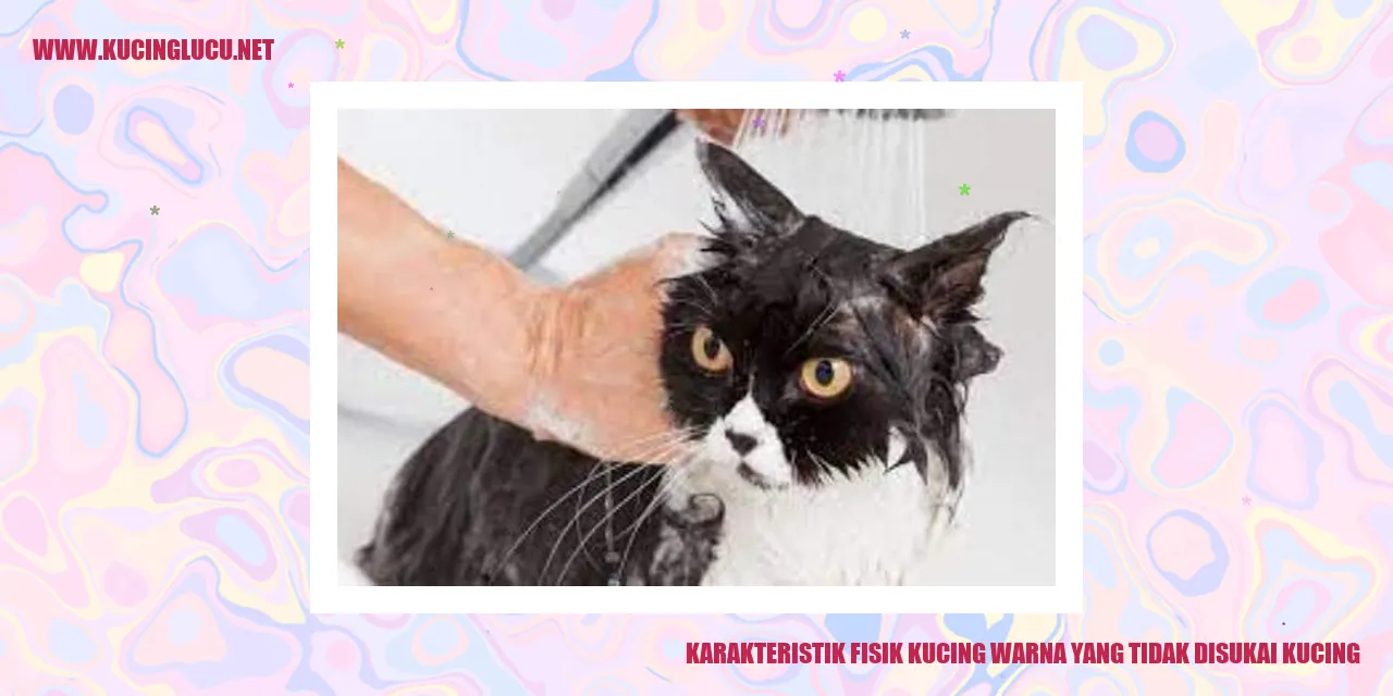 Kucing dengan Warna yang Tidak Disukai