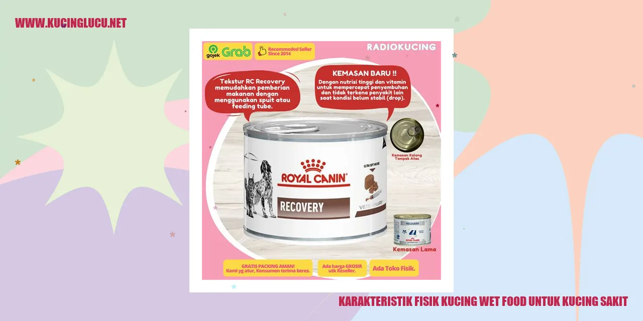 Kucing wet food untuk kucing sakit