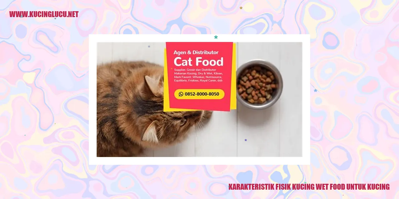 Makanan basah untuk kucing