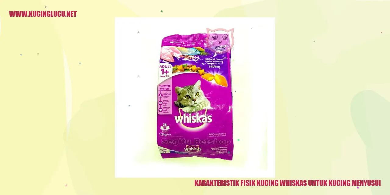 Karakteristik Fisik Kucing Whiskas untuk Kucing Menyusui