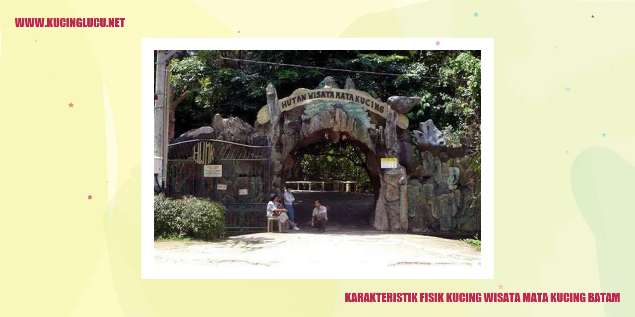 Kucing Wisata Mata Kucing Batam