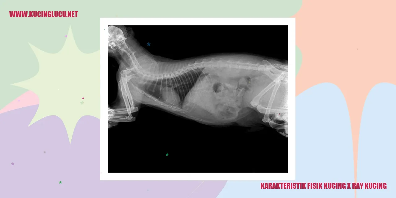 Karakteristik Fisik Kucing