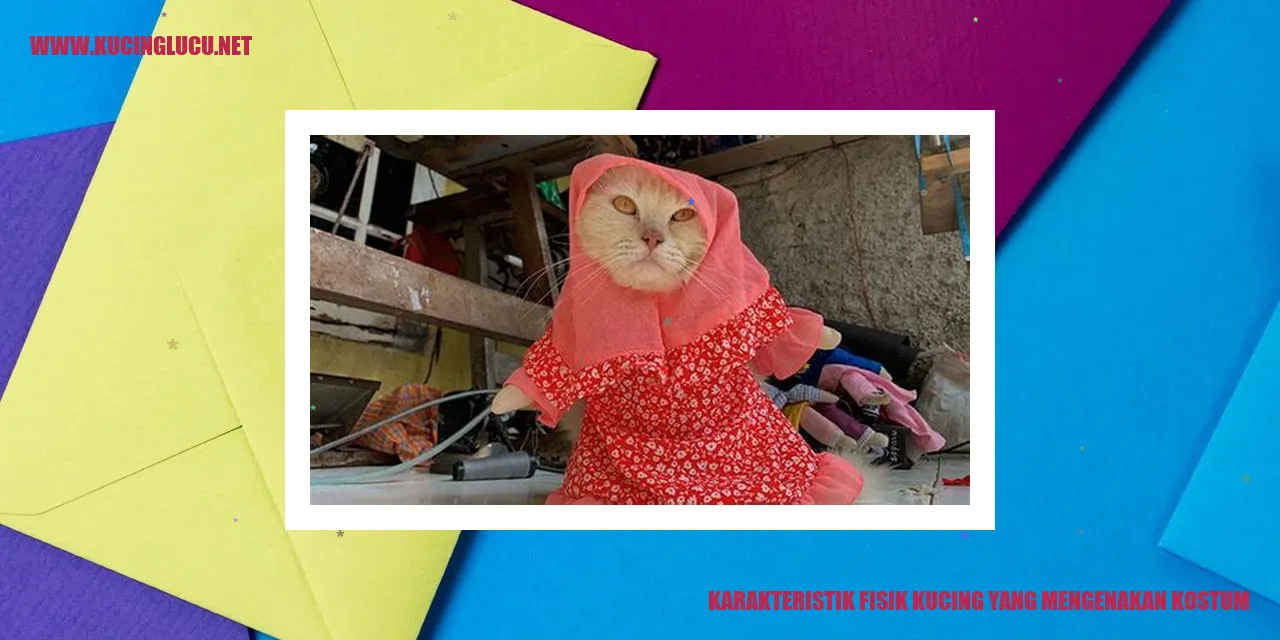 Karakteristik Fisik Kucing Berkostum