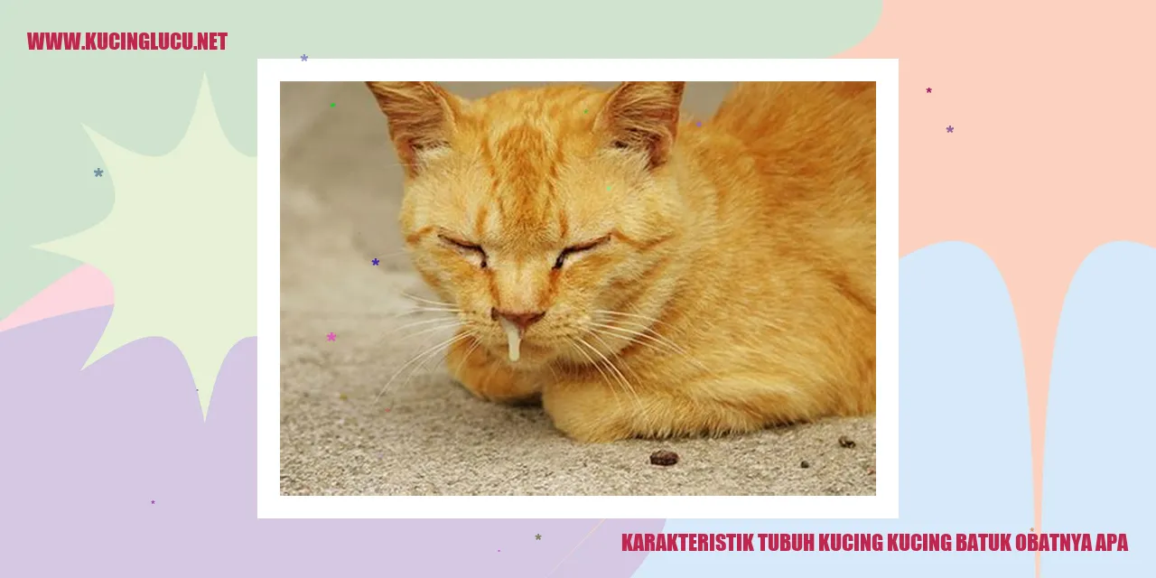 Karakteristik Tubuh Kucing