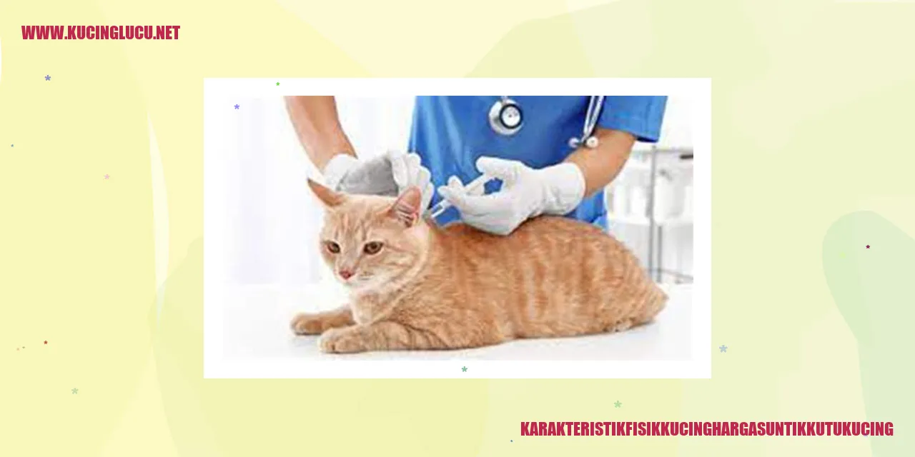 Gambar Kucing