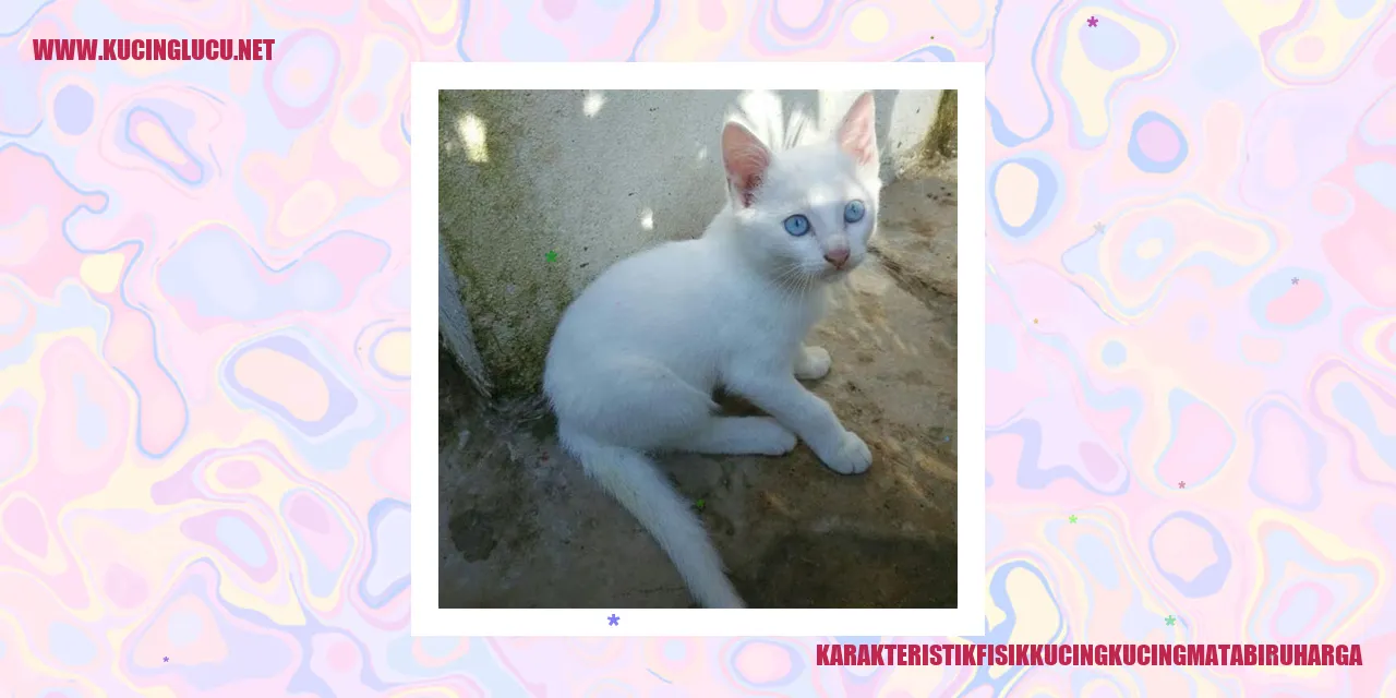 karakteristik fisik kucing mata biru