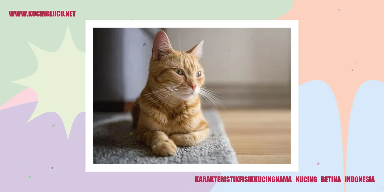 Karakteristik Fisik Kucing Betina Indonesia