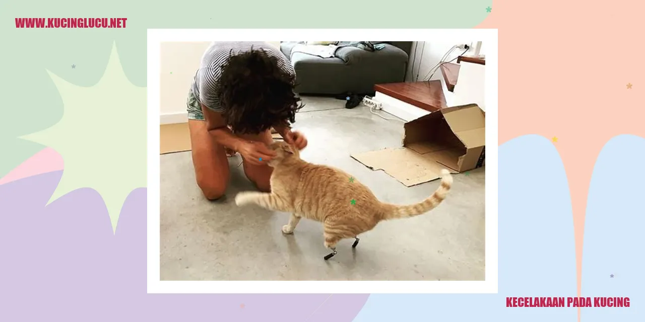 Kucing digigit