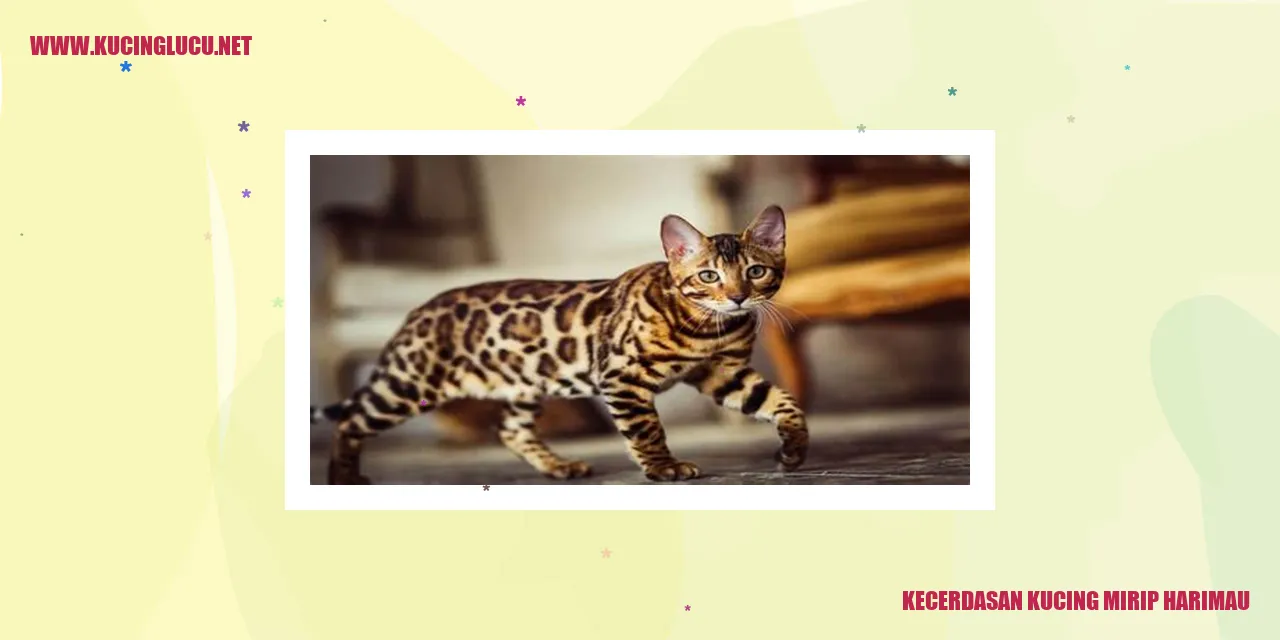 Ilustrasi Kucing Tangkas