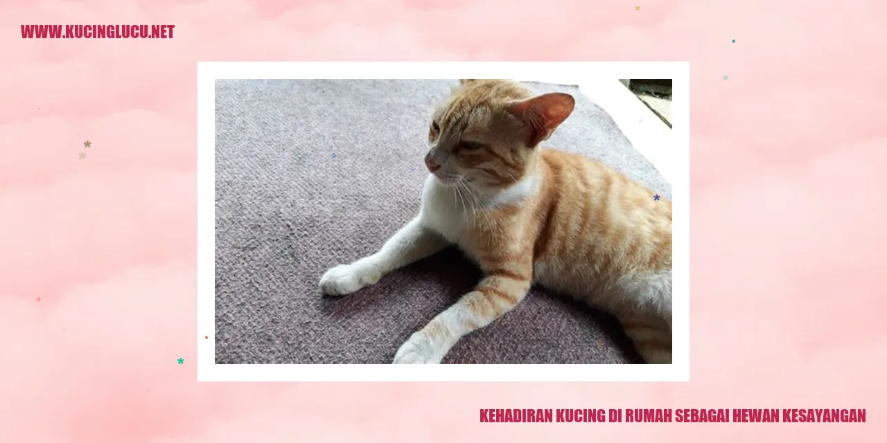 Kehadiran Kucing di Rumah Sebagai Hewan Kesayangan
