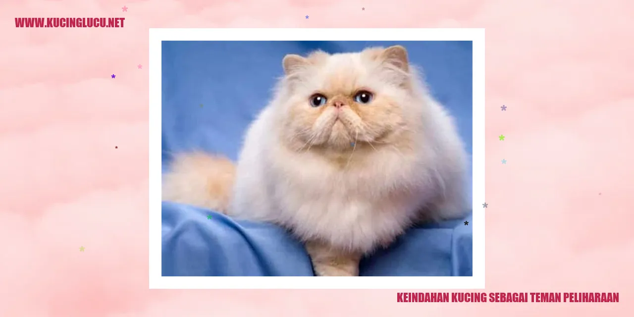 Kucing Menggemaskan