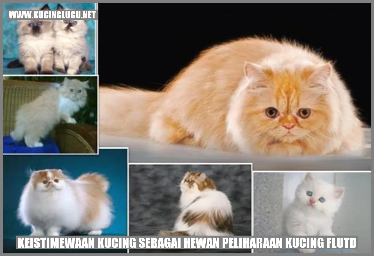 Kucing FLUTD