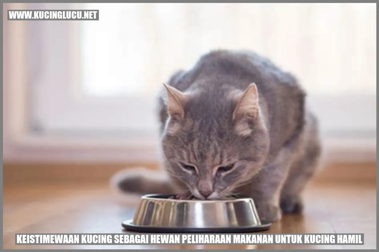 Kucing Peliharaan