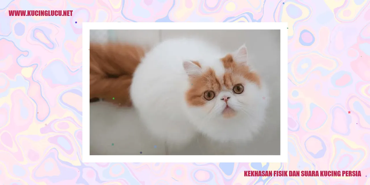 Keanggunan Kucing Persia