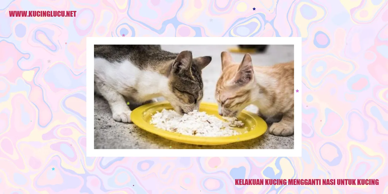 Kucing Pengganti Nasi untuk Kucing
