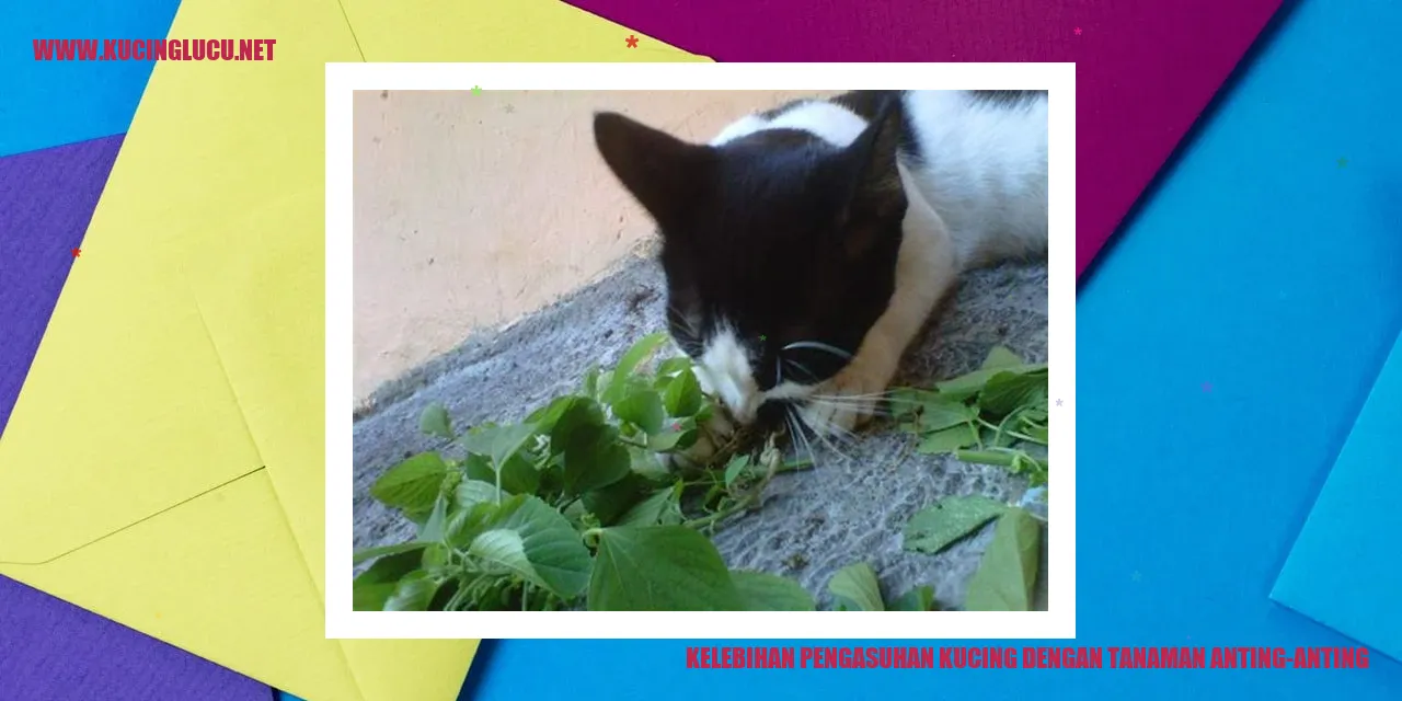 Kucing Senang dengan Tanaman Anting-Anting