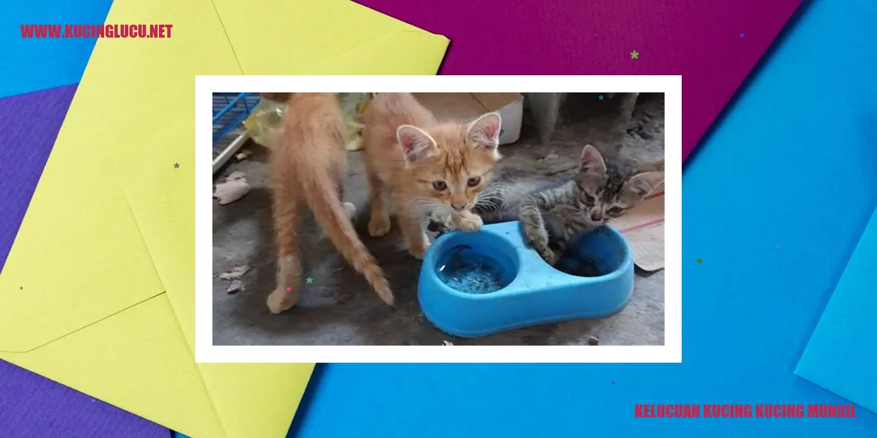 Kucing Kecil