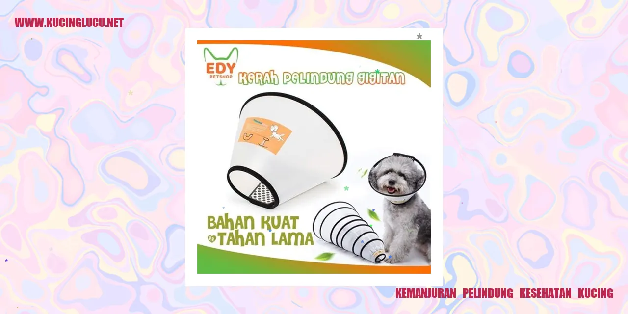 Perawatan Kesehatan Kucing Kandang Kucing Keren