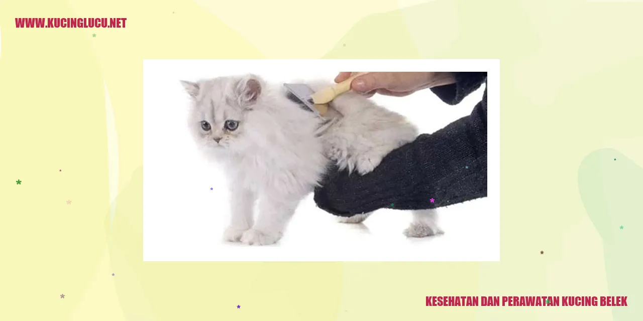Perawatan Kesehatan Kucing Belek Kucing
