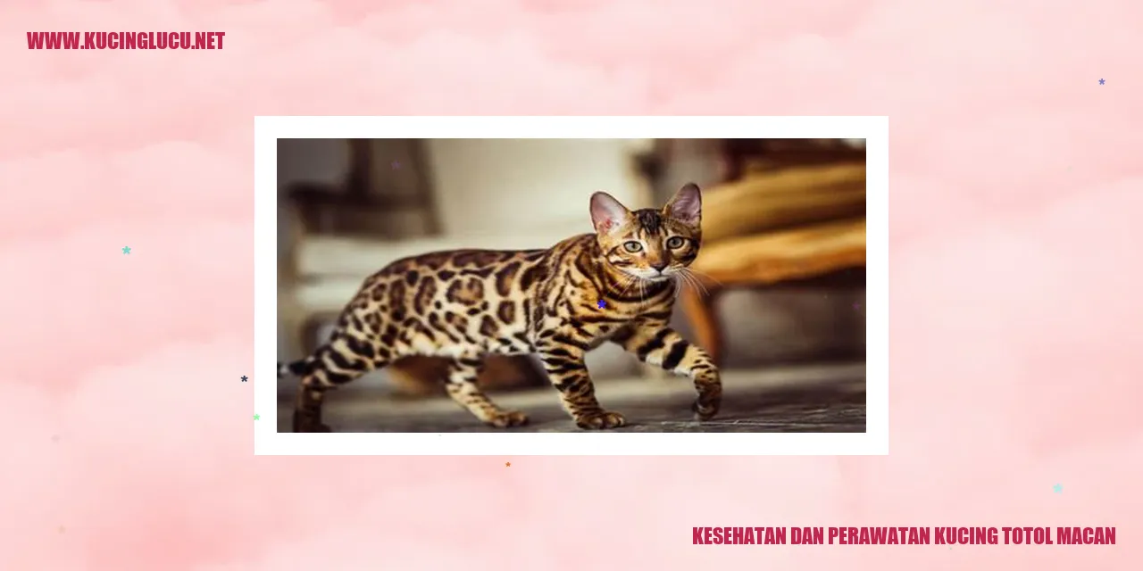 Perawatan Kesehatan Kucing Kucing Totol Macan