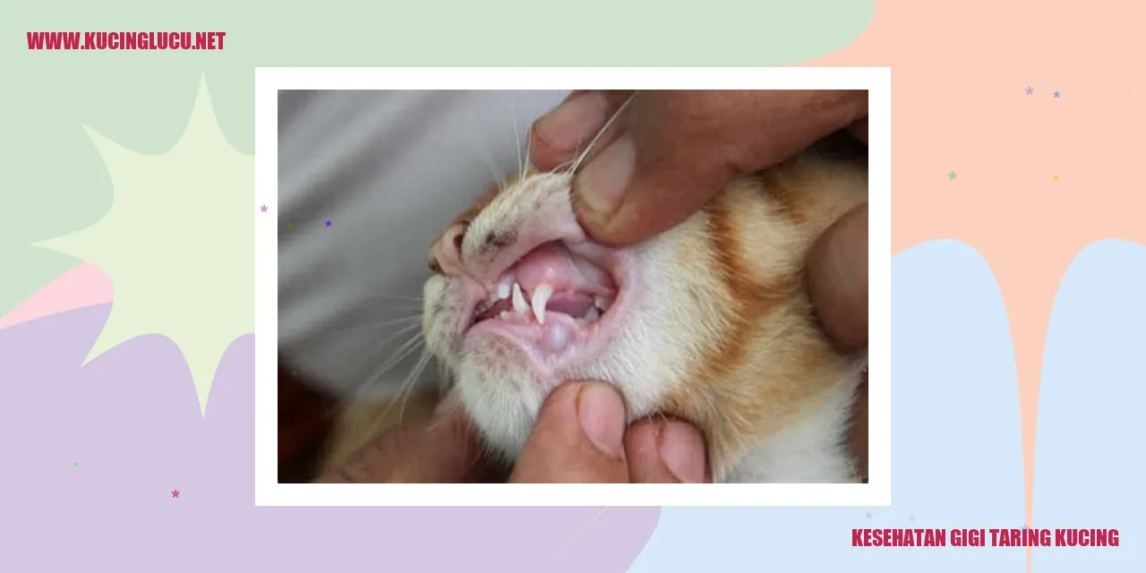Kucing dengan gigi taring yang sehat