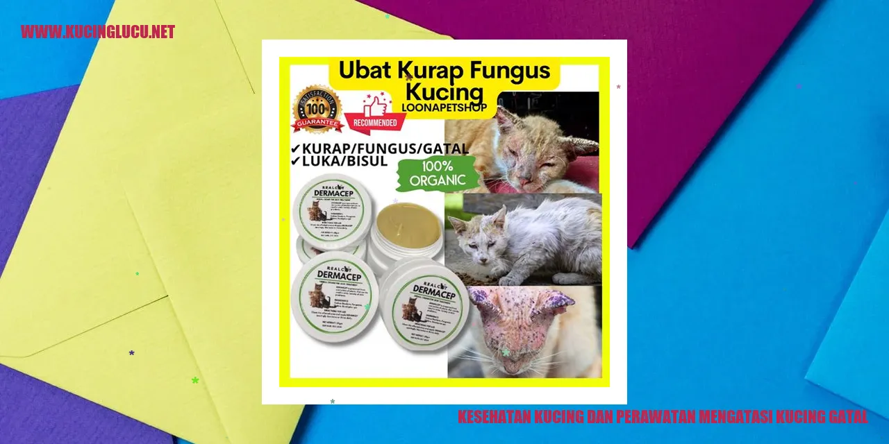 Perawatan Kesehatan Kucing gatal akibat kucing