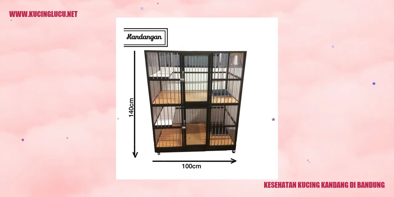 Perawatan Kesehatan Kucing Kandang di Bandung