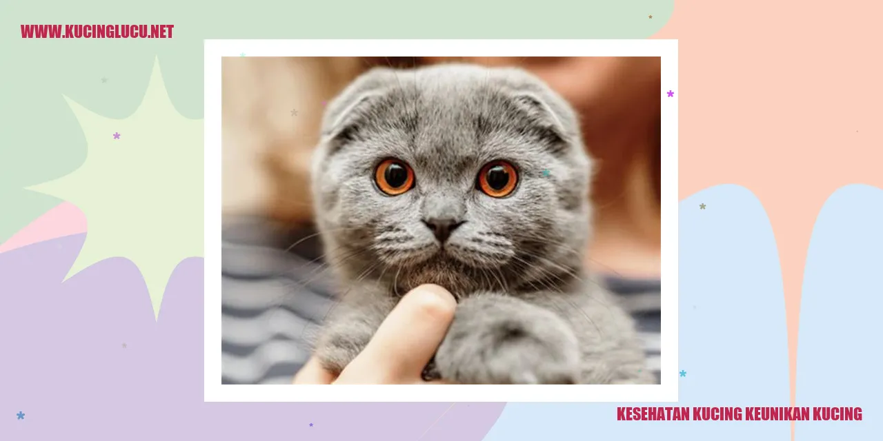 Kucing yang lucu dan sehat