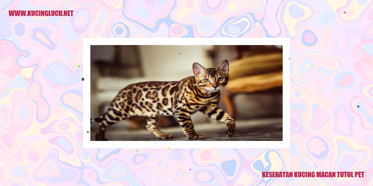Ilustrasi Kucing Macan Tutul