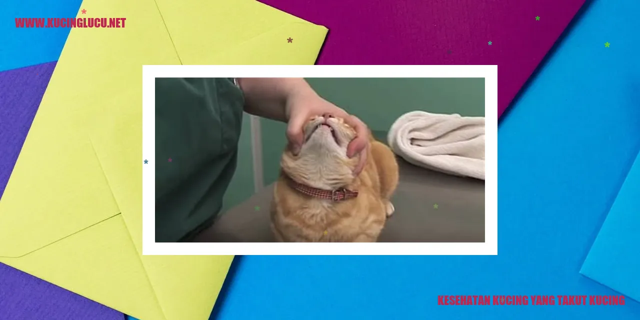 Perawatan Kesehatan Kucing