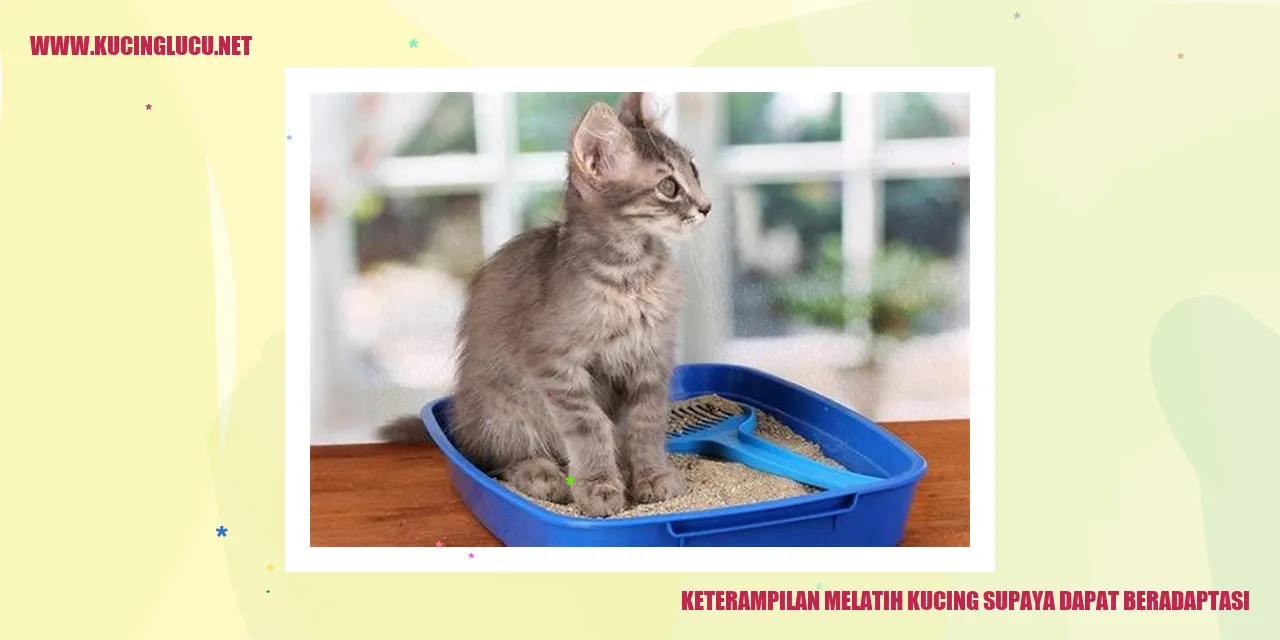 Ilustrasi kucing sedang belajar