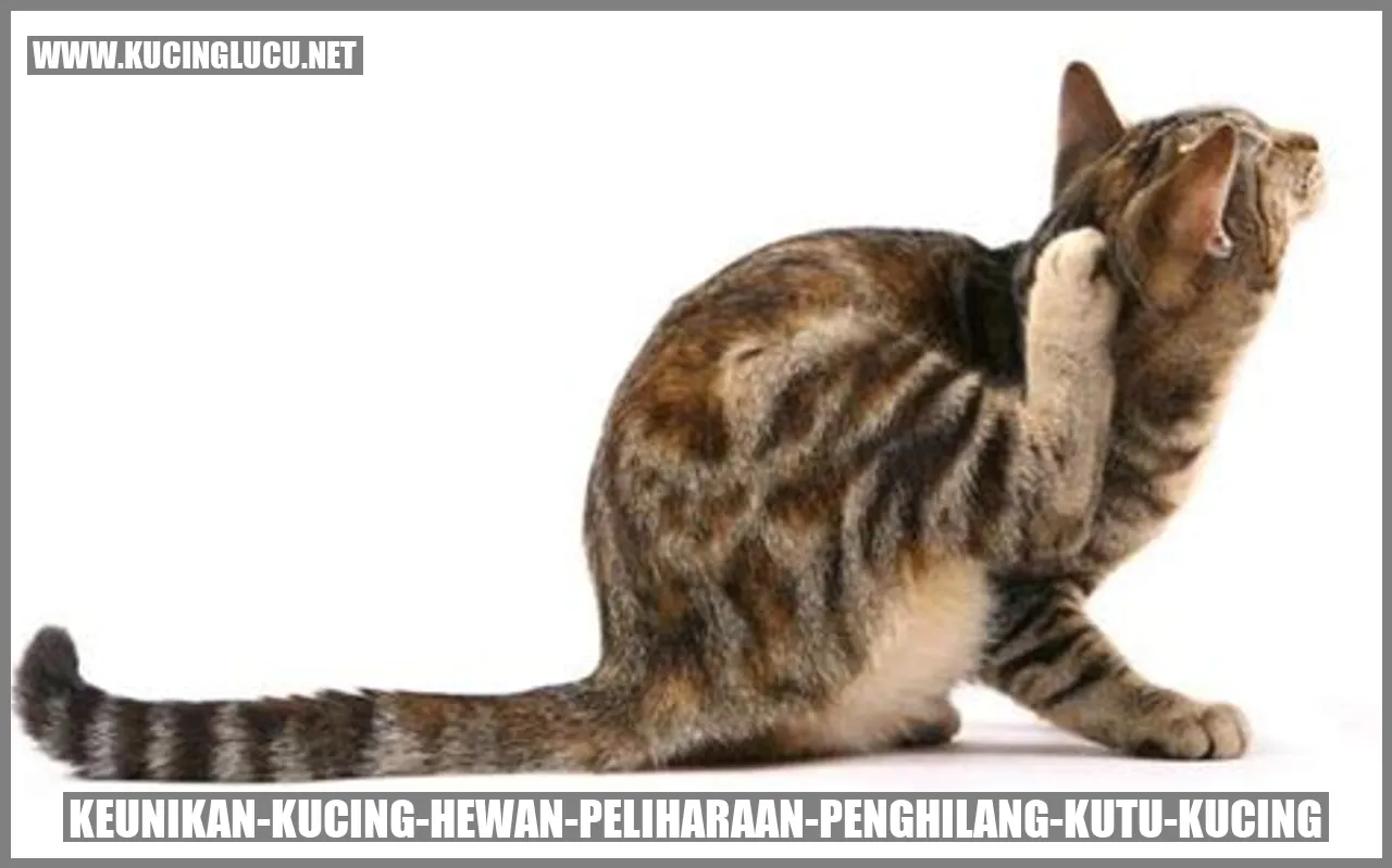Keunikan Kucing sebagai Hewan Peliharaan Penghilang Kutu Kucing