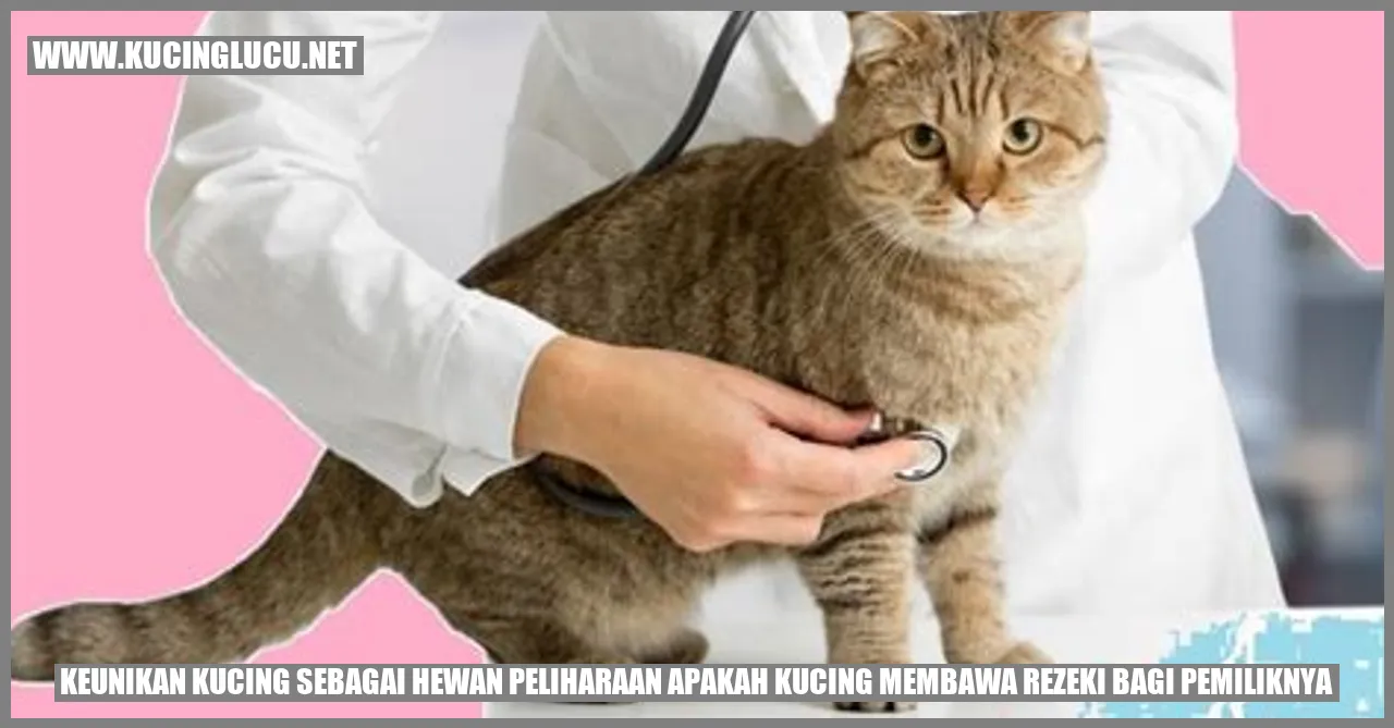 Gambar Kucing