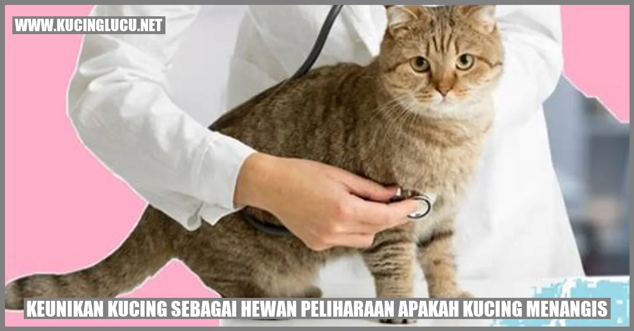 Kucing Menangis