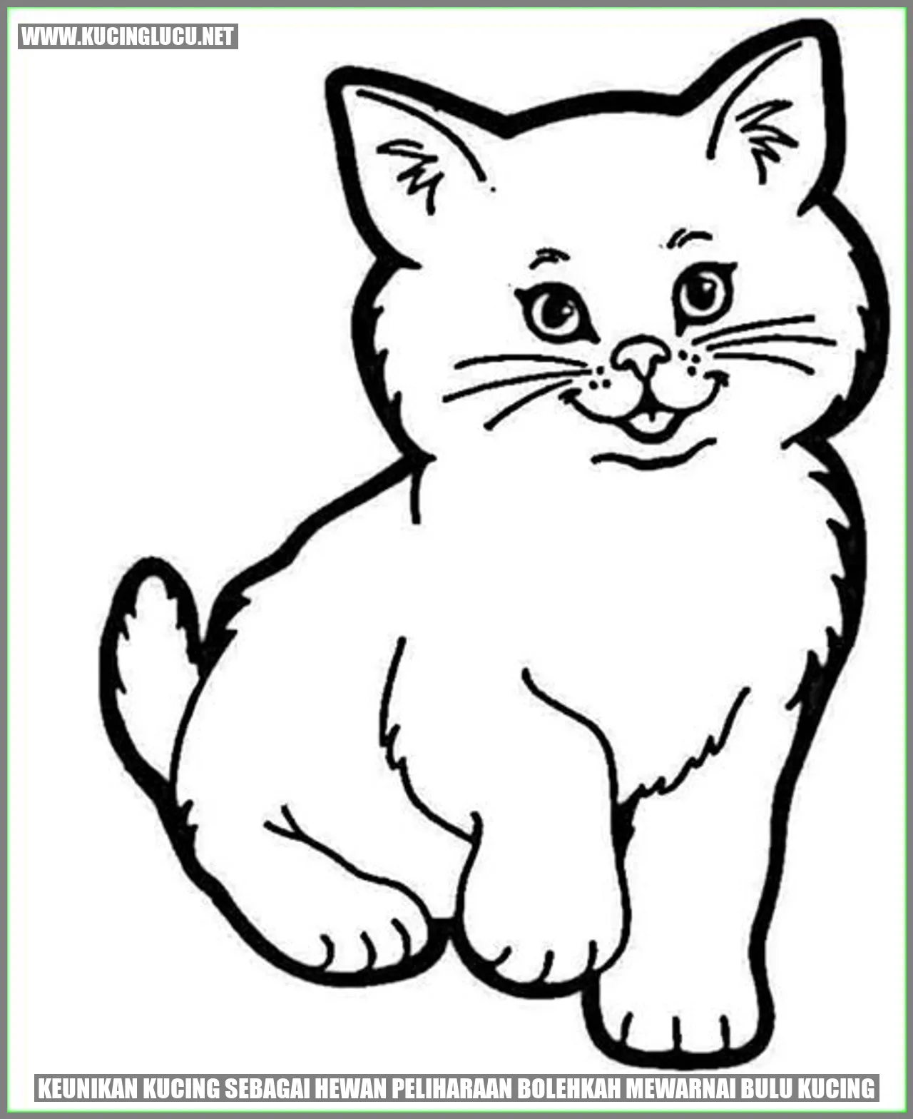 Kucing dengan bulu warna-warni