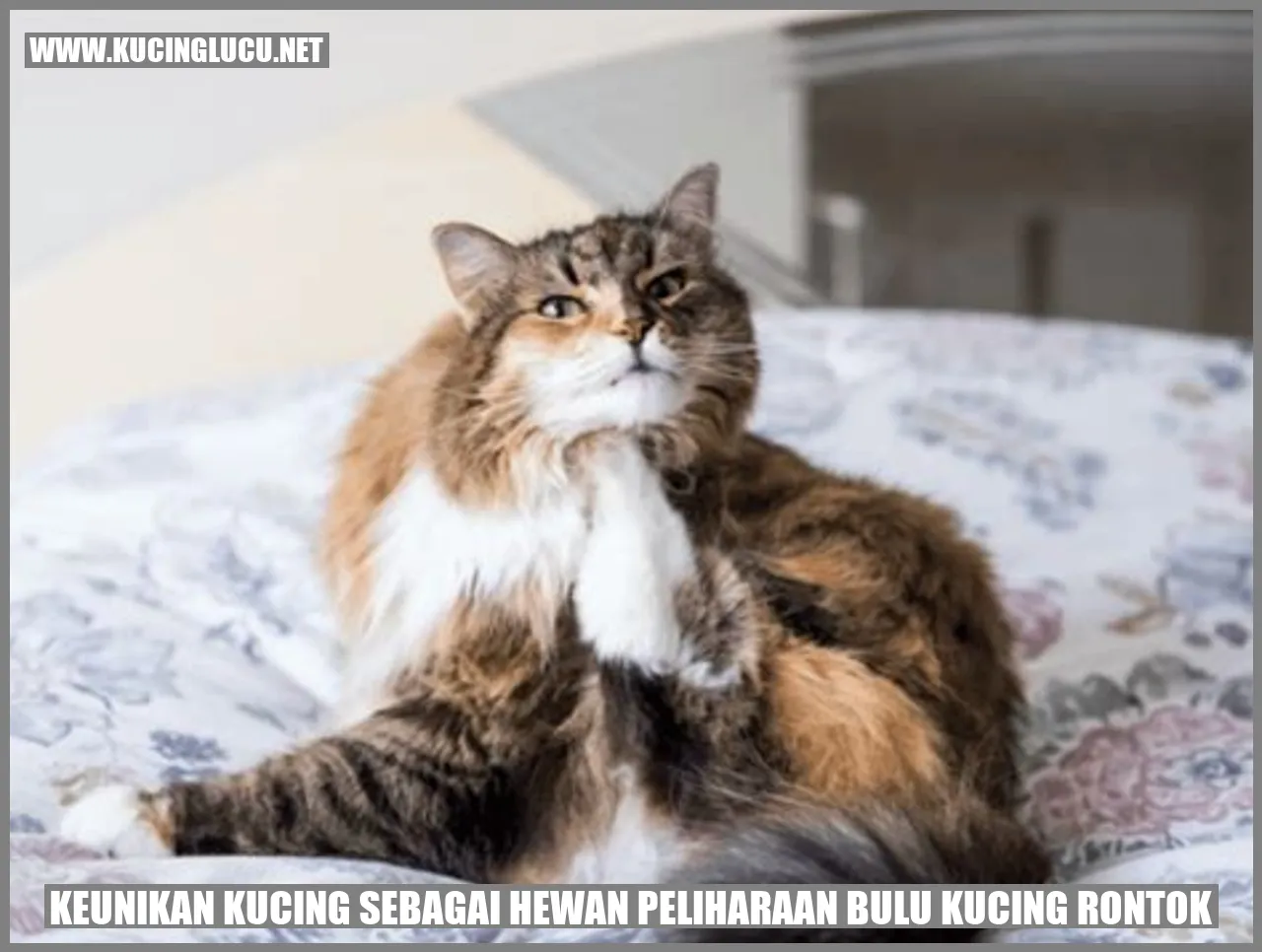 Kucing dengan bulu rontok