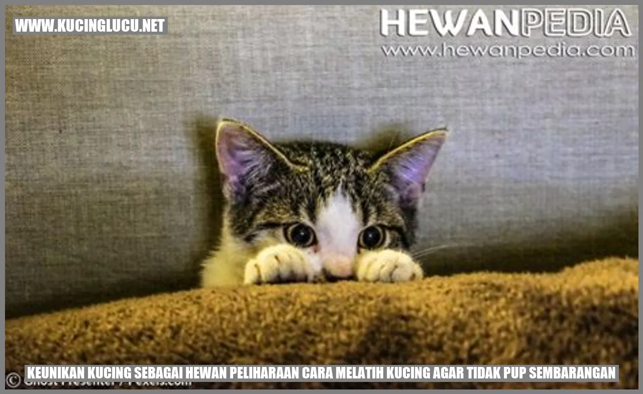 Keunikan Kucing sebagai Hewan Peliharaan cara melatih kucing agar tidak pup sembarangan