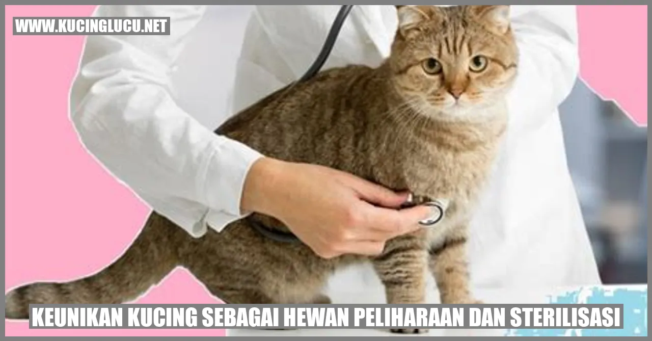 Keunikan Kucing sebagai Hewan Peliharaan dan Sterilisasi