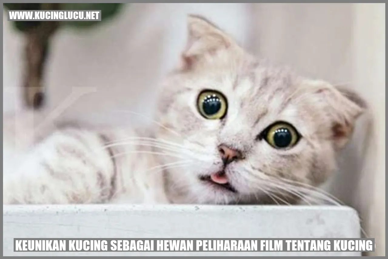 Kucing Peliharaan